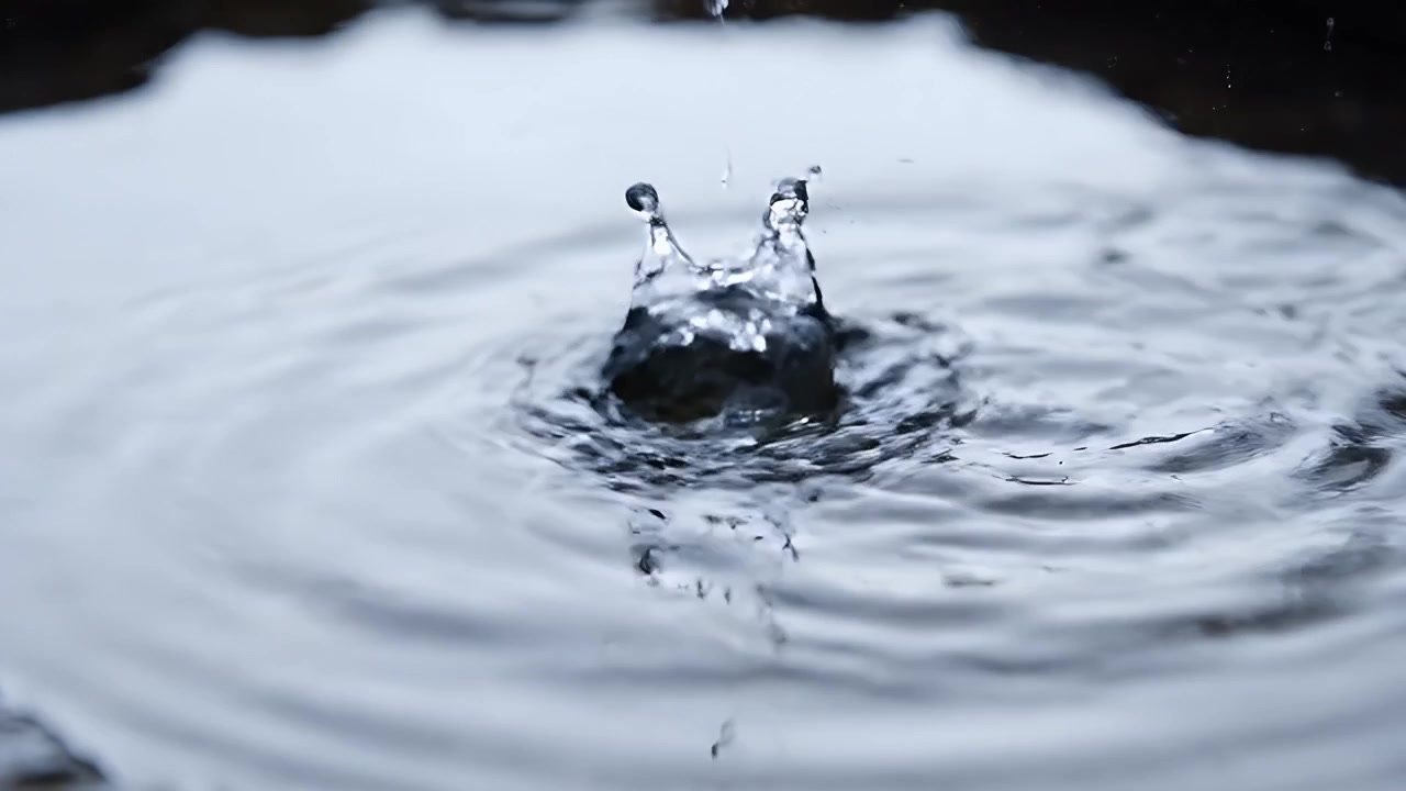 Raindrops Falling Into a Puddle Creating Ripples
