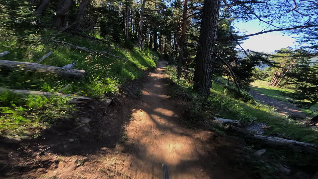 POV Mountain Biking Through a Sunny Forest Trail with Mountain Views