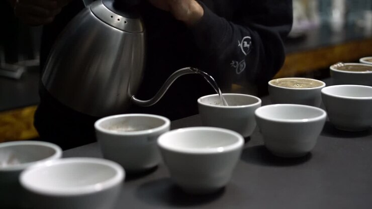 Specialty Coffee Professionals Coffee Cupping Session - preparing for cupping to taste the coffee quality