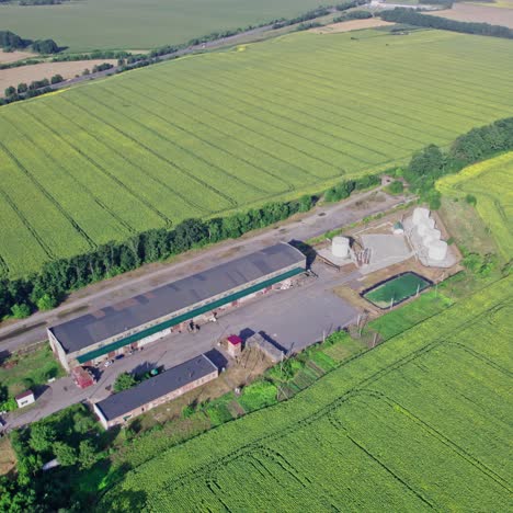 aerial view of a sunflower field and processing plant