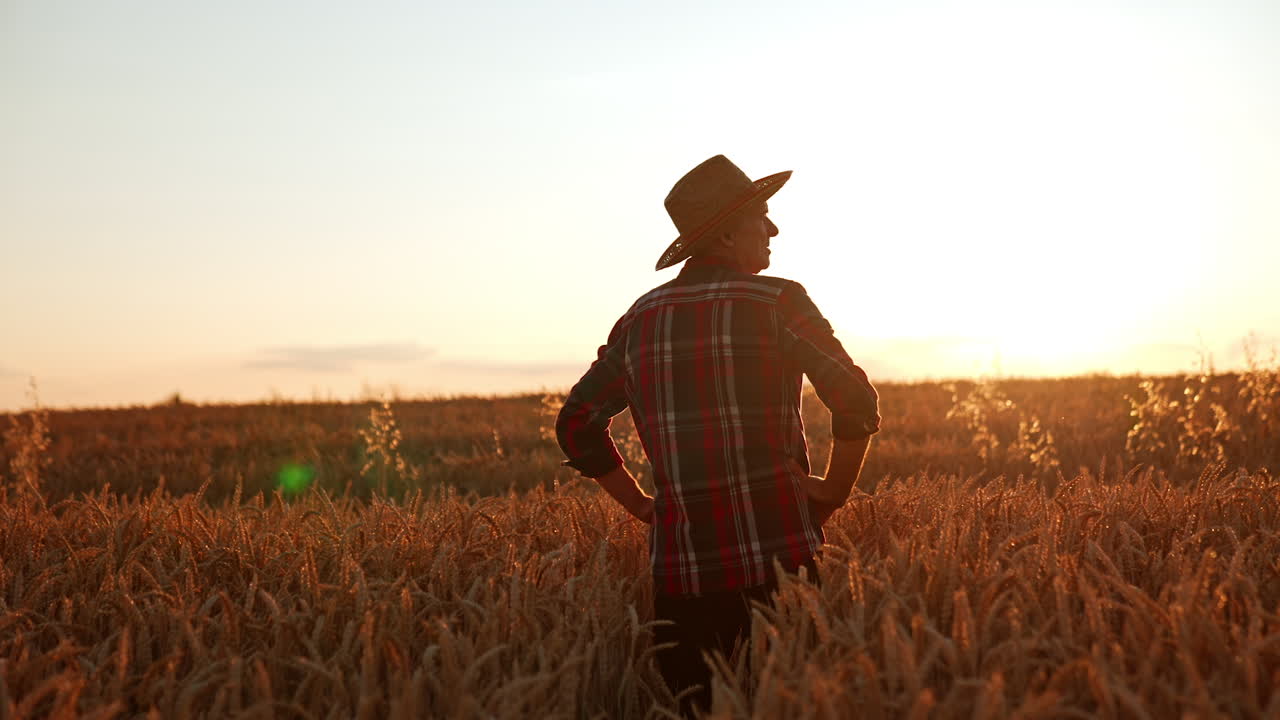 Male farmer in a hat stands in the field with his hands on the hips. Man looks at beautiful farmland at sunset.