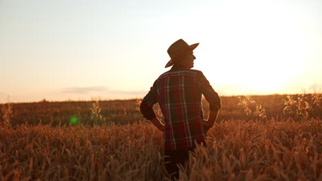 male farmer in a hat stands in the field with his hands on the hips. man looks at beautiful farmland at sunset.