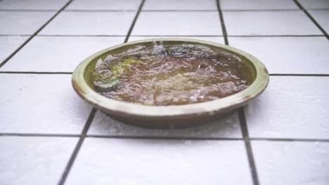 close-up shot of slow-motion rain flooding a brown flower clay jar with white square tiles in background