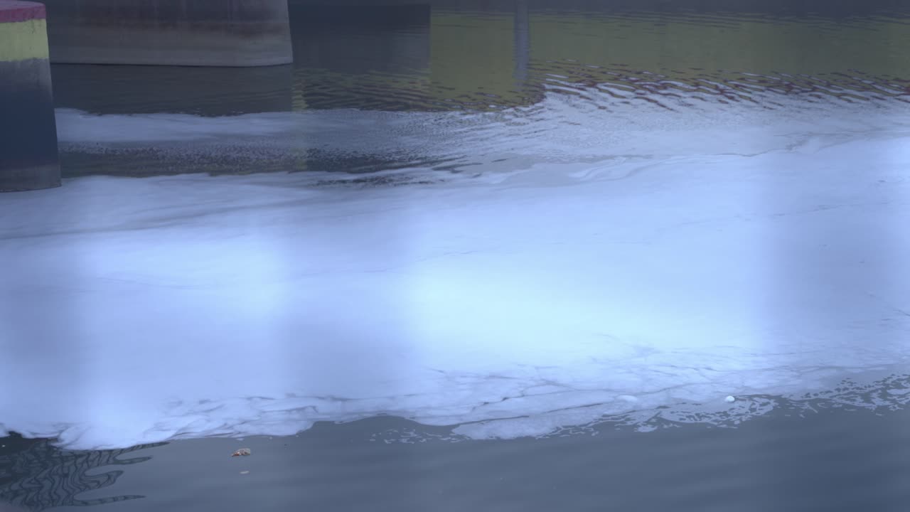 Toxic foam has been shown floating over India's Yamuna River in Delhi