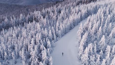 Corriendo-Por-La-Ruta-De-Senderismo-Entre-El-Bosque-Congelado-Blanco,-El-Paisaje-Invernal