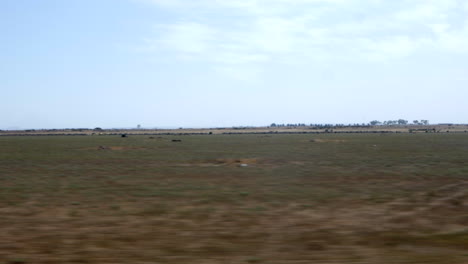 Blick-Aus-Einem-Zugfenster-Auf-Trockenes,-Trockenes-Ackerland