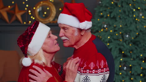 senior old happy family couple grandmother grandmother hugging and kissing in christmas home room