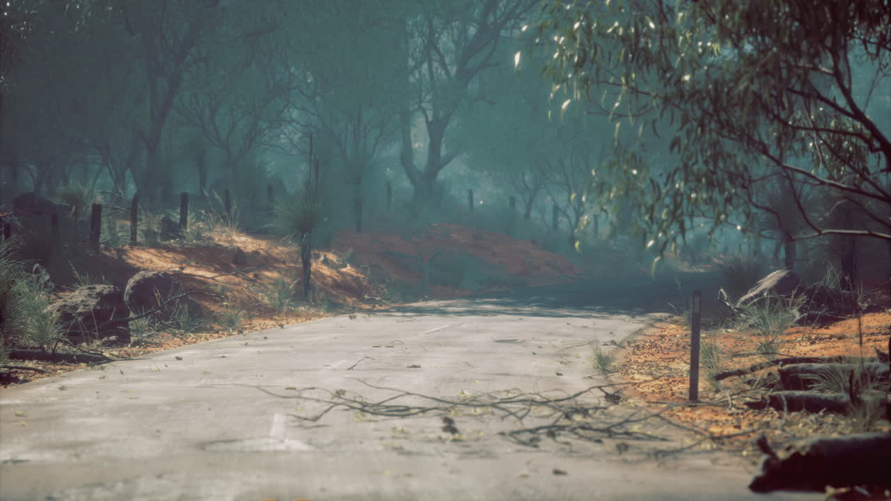 Serene forest pathway surrounded by misty trees and fallen leaves
