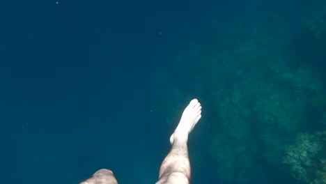 underwater view of bare feet above coral reef in the clear blue waters of the philippines