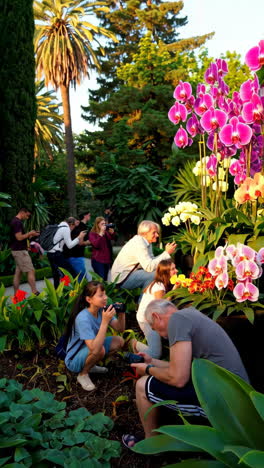people taking pictures of orchids in a garden