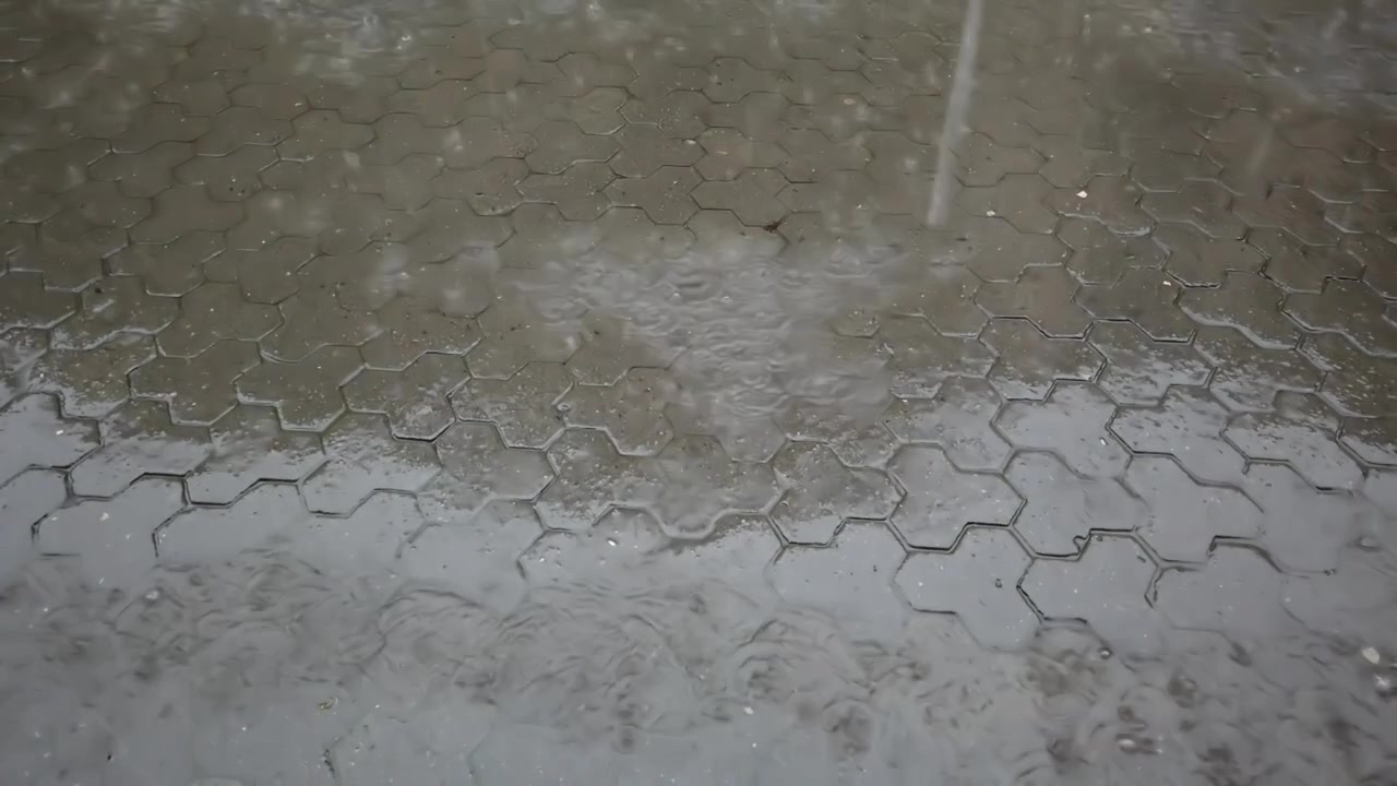 Regn i byen. Regndråber falder på fortovet