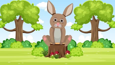 el conejo animado experimenta varias emociones al aire libre.