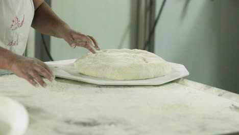 baker put the kneaded dough on the divider rounder plate and sprinkle with wheat flour