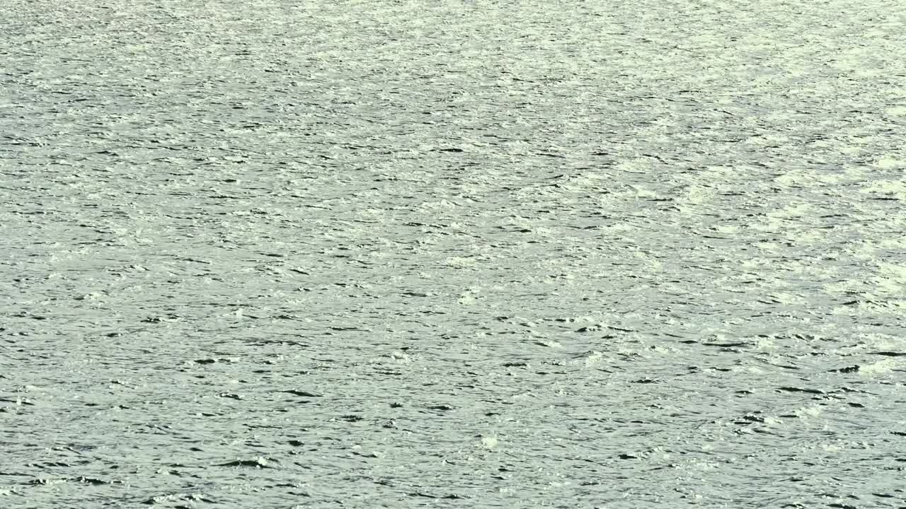 The fine pattern of shiny waves in the contrast sunlight.