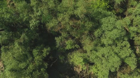 Imágenes-Aéreas-De-Gran-Altitud-Y-Avance-Desde-La-Parte-Superior-Del-Entorno-Natural