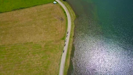 epic aerial top down view of five people on horse riding along a path on shores of lake on sunny day