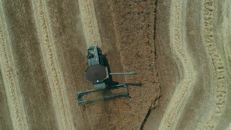 aerial drone 360 top view of a black combine harvesting rapeseed