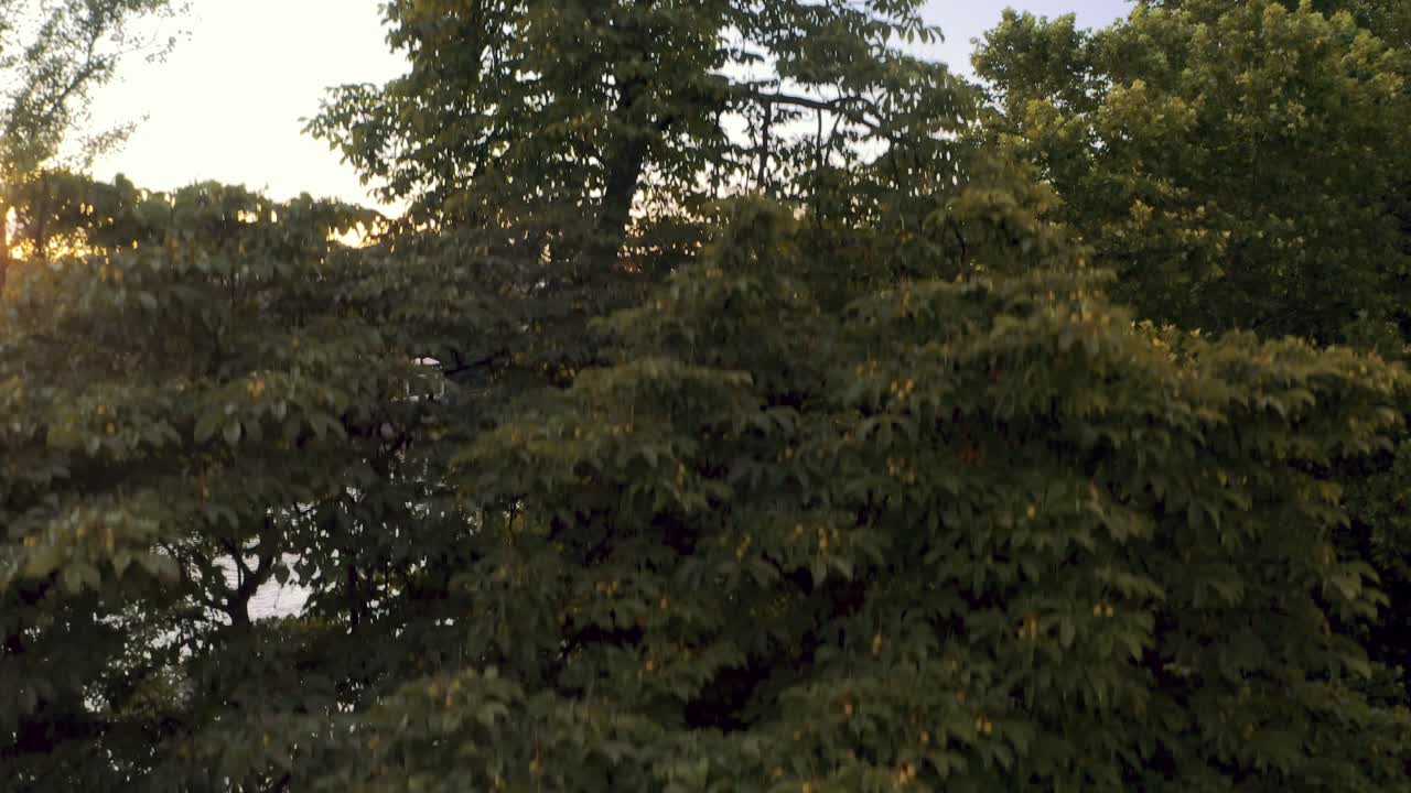 Prague Czech Republic, wide shot of castle and Vltava river, drone descending behind trees, Drone