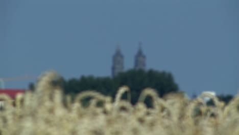 rack focus from wheat field to cathedral of magdeburg, germany