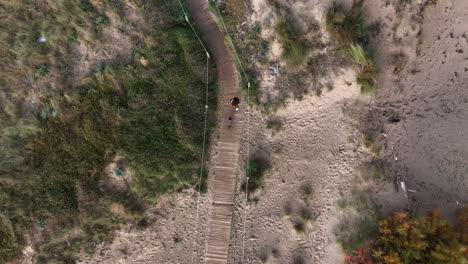 top down aerial view above woman walking miniature dachshund along wooden beach boardwalk