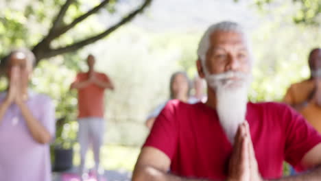 focused diverse senior male instructor and friends practicing yoga in sunny nature, slow motion