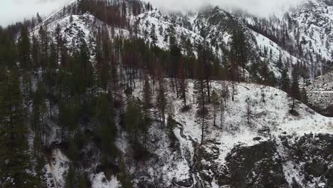 pine forest on snowy hills by the river in boise national forest, idaho