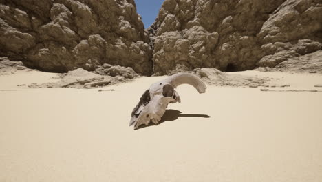 a skull lies in the desert sand with mountains in the background