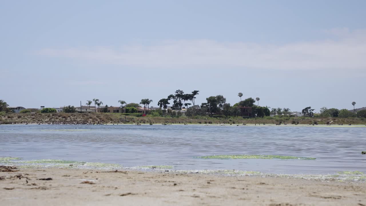 湖の上を飛ぶ鳥