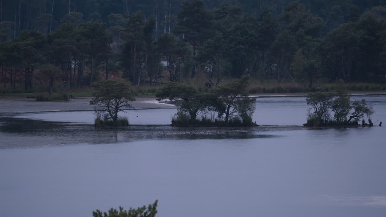 벨기에의 칼름트하우트 지역의 안개가 가득한 호수, 아보기