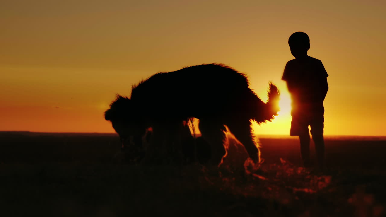 dos niños rurales juegan con su perro favorito al atardecer
