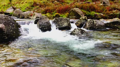 a small stream cascading slowly over moss covered boulders through lush countryside