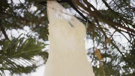 white wedding dress with lace details hanging on a black hanger from a tree branch, showcasing intricate fabric textures against a natural, leafy backdrop