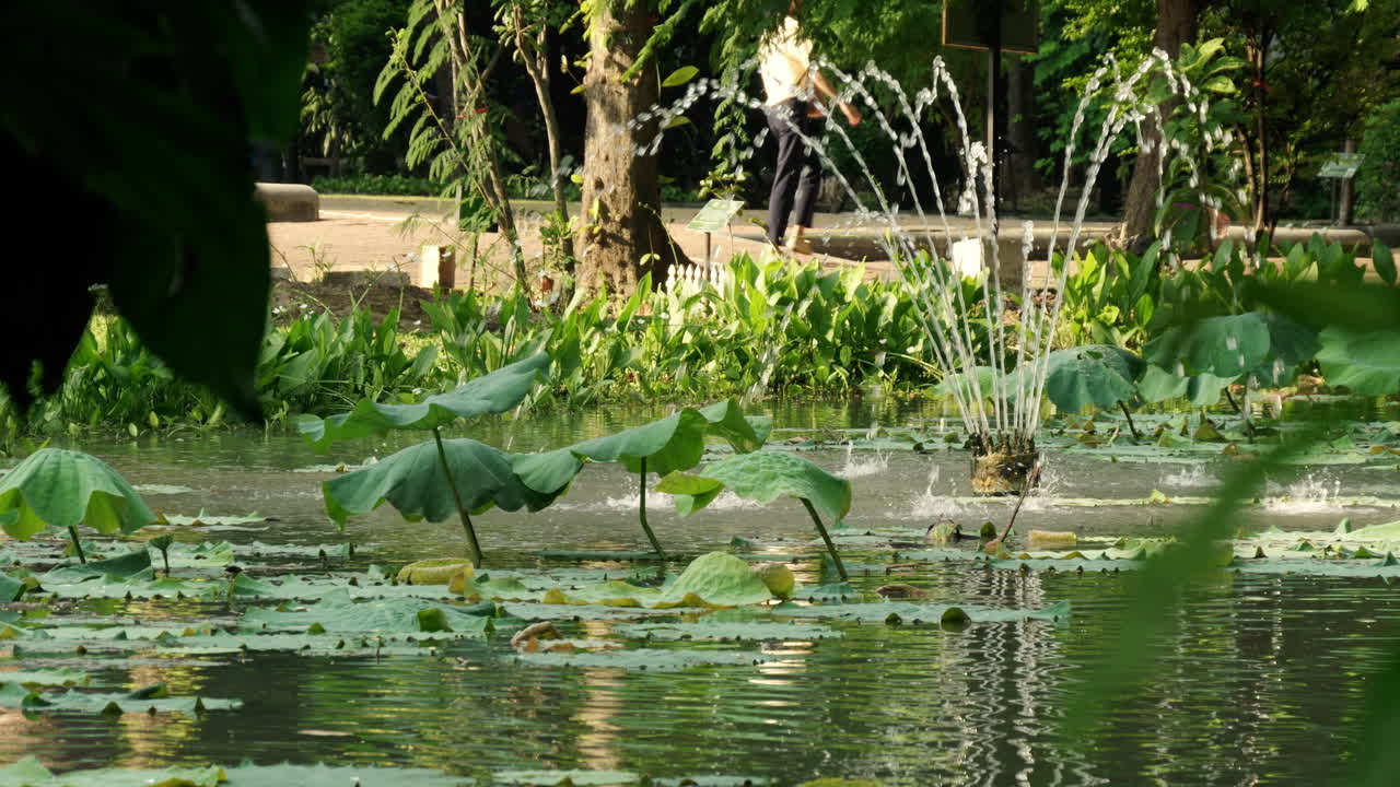 Enjoy the beauty of a tranquil garden featuring a lovely lotus pond with a small fountain, providing a perfect setting for leisure and reflection.