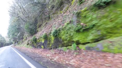 driving down the road with beautiful green moss covered rocks and trees cover the rocky hills in oregon