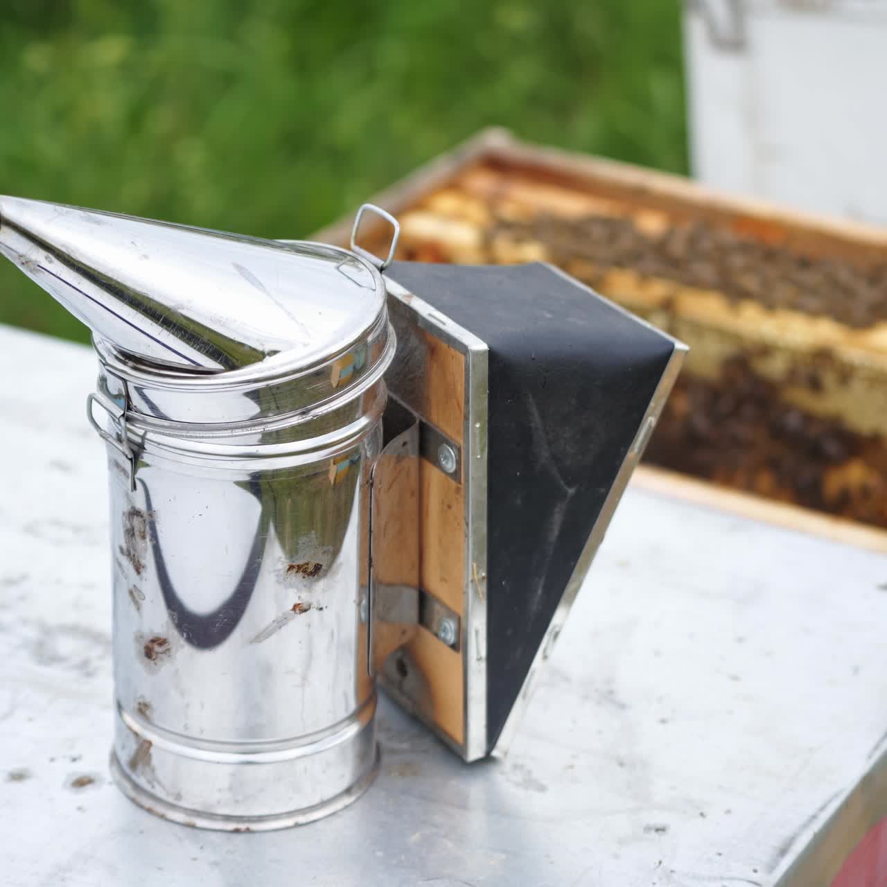 Selective focus on steel new beesmoker on the top of a hive. Hardworking bees fly over hives