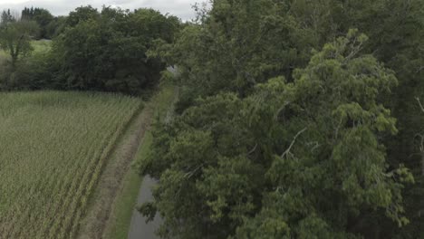 Oldtimer-Fahren-Zum-Circuit-Pau-Arnos,-Frankreich