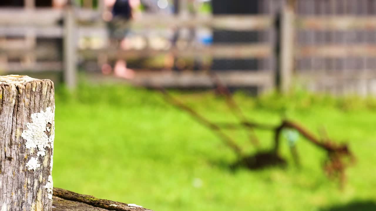 Close-up of a weathered wooden fence post with blurred farm background in bright daylight