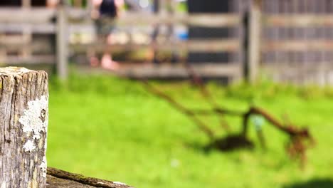 close-up of a weathered wooden fence post with blurred farm background in bright daylight