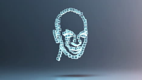 abstract digital face