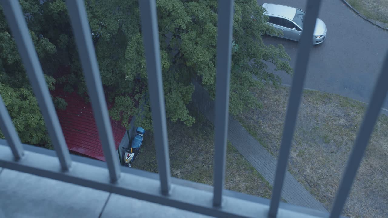 Albero verde in una giornata piovosa attraverso le sbarre grigie del balcone.