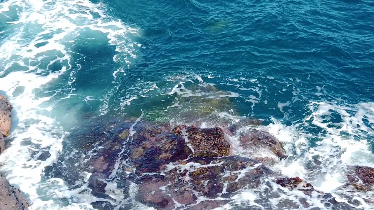 hd hawaii kauai slow motion statico wide shot delle onde dell'oceano che girano attorno alle rocce nel fotogramma inferiore con la tartaruga marina che emerge al centro in cima al fotogramma
