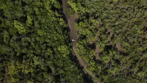 High-view-of-a-person-with-a-kayak-deep-in-a-mangrove-and-conservation-wetland-conducting-an-ecosystem-survey