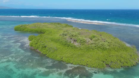 aerial view of island covered with green trees in playa caobita, azua, dominican republic.