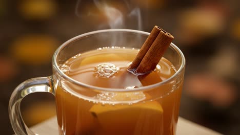 steaming hot apple cider with cinnamon stick and apple slices