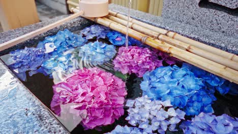 beautiful hydrangea in shrine water