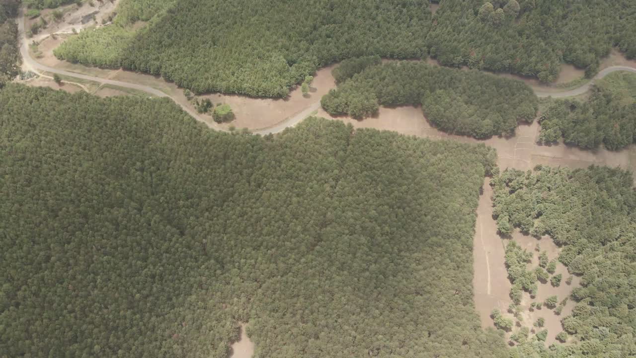 vista aérea del bosque del monte kilimanjaro, kenia, áfrica