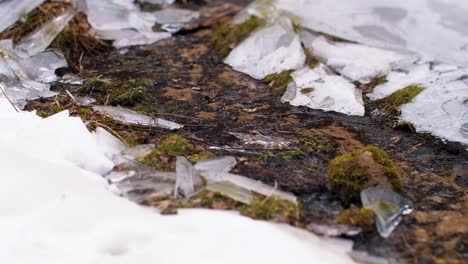 ditch with clean spring water in the forest