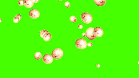las verduras que caen animación croma elemento clave bucle, cebolla