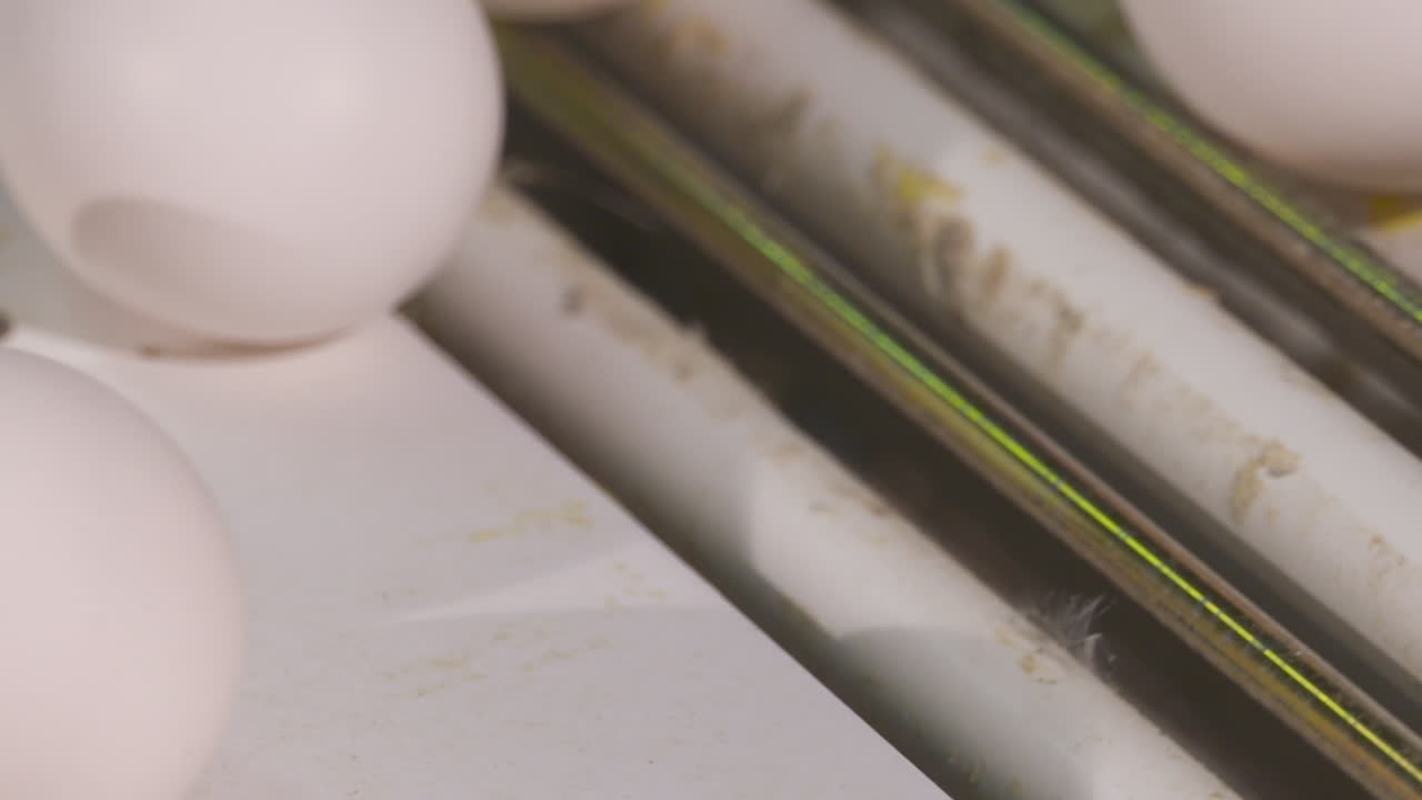 Close up of eggs moving along a conveyer at a poultry farm