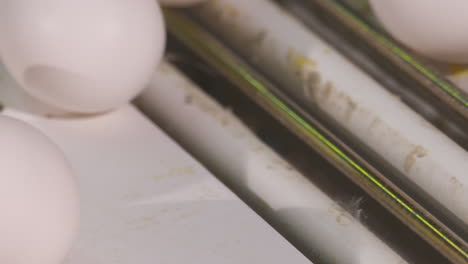 Close-up-of-eggs-moving-along-a-conveyer-at-a-poultry-farm